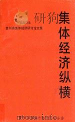 集体经济纵横（1990 PDF版）
