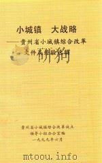 小城镇 大战略 贵州省小城镇综合改革文件几经验选编 1999 PDF电子版封面 贵州省小城镇综合改革试点领导小组办公室编