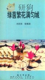 绿茵繁花满匀城（1999 PDF版）
