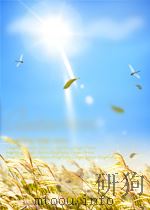 公证律师业务资料 8 1993 PDF电子版封面 贵州省司法厅公证律师处编