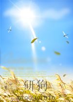 公证律师业务资料  10（1989 PDF版）