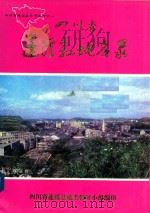 四川省蓬溪县地名录 1986 PDF电子版封面 四川省蓬溪县地名领导小组编印