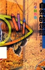 小学生科学入门系列文库 第2辑 巧手制作坊 自然的馈赠 1997 PDF电子版封面 7800817180 李雨润著;黄俊主编