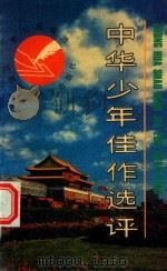 中华少年佳作评选（1993 PDF版）