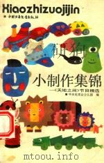 小制作集锦 《天地之间》节目精选 1990 PDF电子版封面 7500703600 迟连方主编;中央电视台少儿部编