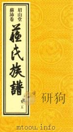 眉山堂  苏沛卷  苏氏族谱  卷2  上（ PDF版）