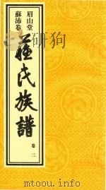 眉山堂  苏沛卷  苏氏族谱  卷3（ PDF版）