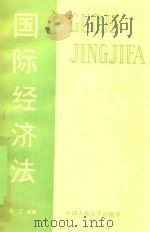 国际经济法   1997  PDF电子版封面  7300002471  刘丁编著 