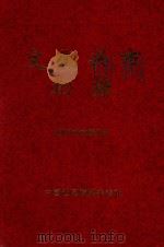 文化兴市初探（ PDF版）