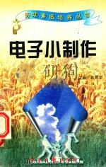 劳动素质培养丛书  电子小制作（1997 PDF版）