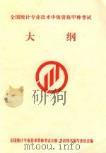 全国统计专业技术中级资格甲种考试大纲（ PDF版）