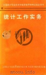 统计工作实务 1995 PDF电子版封面 全国统计专业技术资格考试大纲,考试用书编写委员会编