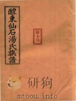 醴东仙石汤氏族谱  2（ PDF版）
