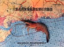 广东沿海常见经济虾类彩色图谱（1988 PDF版）