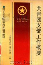 共青团支部工作概要（1991 PDF版）