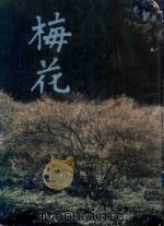梅花（1980 PDF版）