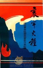 哀牢火种  民主革命时期双柏革命斗争纪实（1995 PDF版）