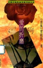爱的折磨 1996 PDF电子版封面 7536330030 贺晓彤著