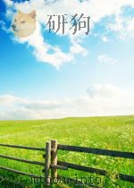台湾粿印艺术：台湾民间粿糕糖塔印模文化艺术之研究（1999 PDF版）