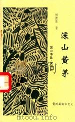 深山黄茅  大坝新诗125（1996 PDF版）