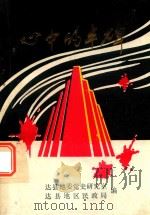 心中的丰碑 1992 PDF电子版封面 达县地委党史研究室,达县地区民政局编