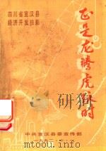正是龙腾虎跃时  四川省宣汉县经济开发掠影（1992 PDF版）