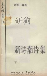 新诗潮诗集 下 1985 PDF电子版封面 老木编选