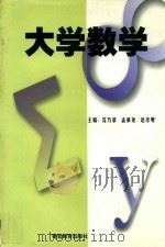 大学数学 1999 PDF电子版封面 7810621998 沈乃录等主编