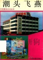 福建著名企业丛书  潮头飞燕（1991 PDF版）