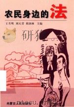 农民身边的法（1999 PDF版）