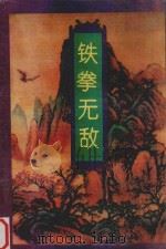 铁拳无敌  二册（ PDF版）