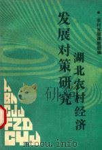 湖北农村经济发展对策研究（1987 PDF版）