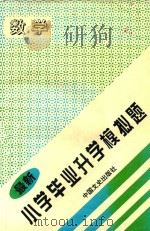 最新小学毕业升学模拟题  数学（1997 PDF版）