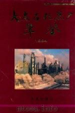 大庆石化总厂年鉴  1993（1994 PDF版）