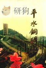 平水铜矿志（ PDF版）