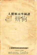 人体解剖学图谱  上（1955 PDF版）