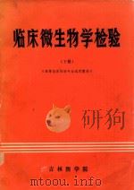 临床微生物学检验 下 1983 PDF电子版封面 杨廷彬,陈慎奔等主编