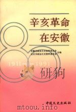辛亥革命在安徽（1991 PDF版）