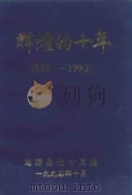 辉煌的十年  1984-1993（1994 PDF版）