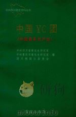 中共四川党史资料丛书  中国 YC 团   1997  PDF电子版封面  7536636407  中共四川省委党史研究室编 