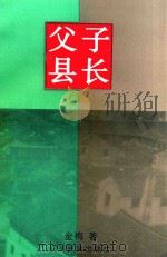 当代中青年作家新著丛书 父子县长 1997 PDF电子版封面 7540917164 金梅著