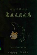 湖南省祁阳县农业区划图集（ PDF版）