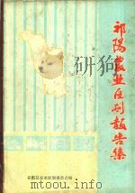 祁阳农业区划报告集（1984 PDF版）