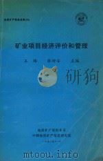 矿业项目经济评价和管理 1993 PDF电子版封面 王玲,张枰安主编