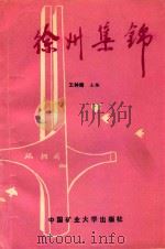 徐州集锦   1989  PDF电子版封面  781021361X  王林绪主编；周怀宇等编 