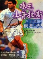 球王山普拉斯 打不倒的网坛巨人 1997 PDF电子版封面 B. A. Branham作者 吴淡如,林志豪合译