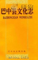 巴中县文化志 1992 PDF电子版封面 巴中县文教局