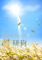 物理教学 第2期 总第20期 1960 PDF电子版封面 10020748