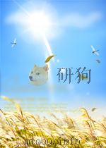 测绘通报 第11期 1964 PDF电子版封面 04940911