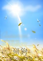 世界知识 第30期 1952 PDF电子版封面 05830176